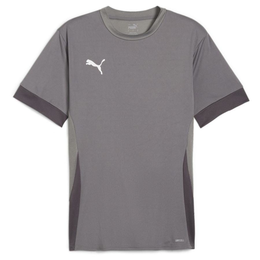 PUMA T-shirt d'Entraînement teamGOAL - Gris/Blanc