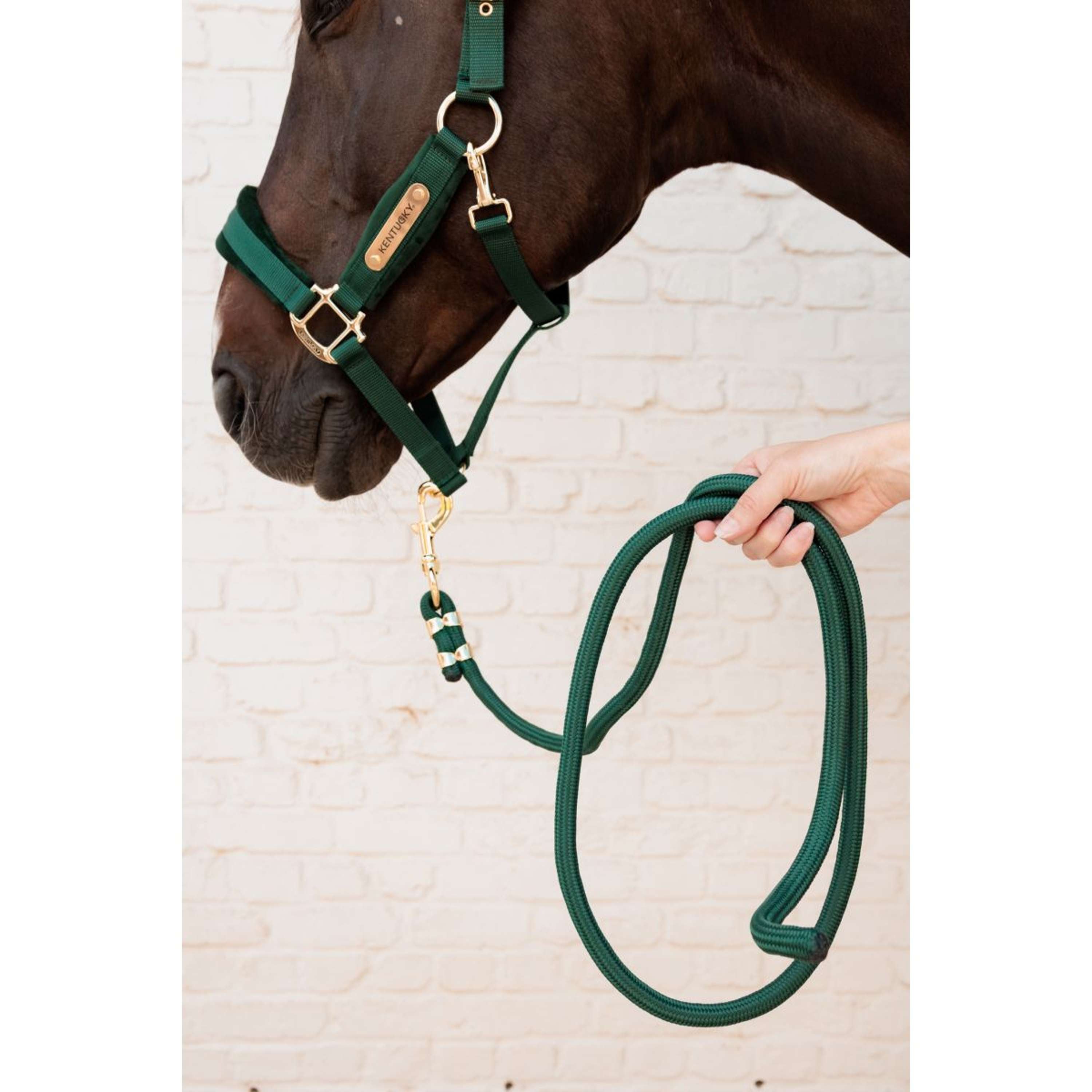 Kentucky Halstertouw Basic Pine Green