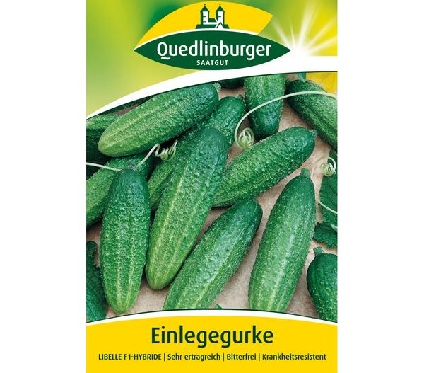 Quedlinburger Samen Einlegegurke 'Libelle'