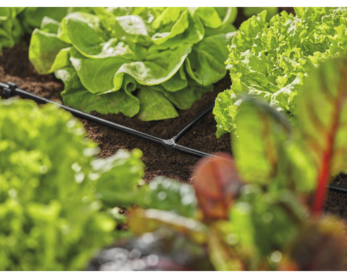 GARDENA Micro-Drip-System T-stuk 4,6 mm (3/16