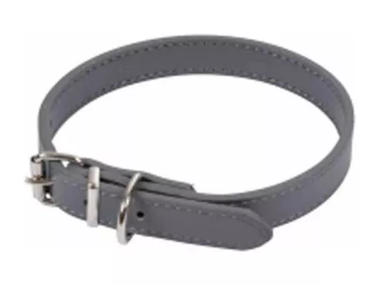 Collier pour Chien 