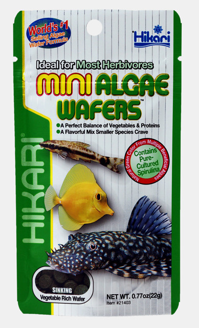 Hikari Mini algae wafers 22 gram | Voeding siervissen