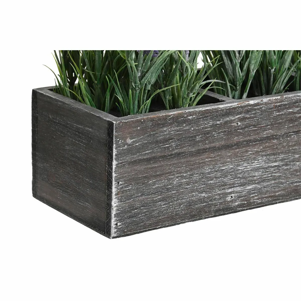 DKD Home Decor DKD Home Plante décorative deux unités