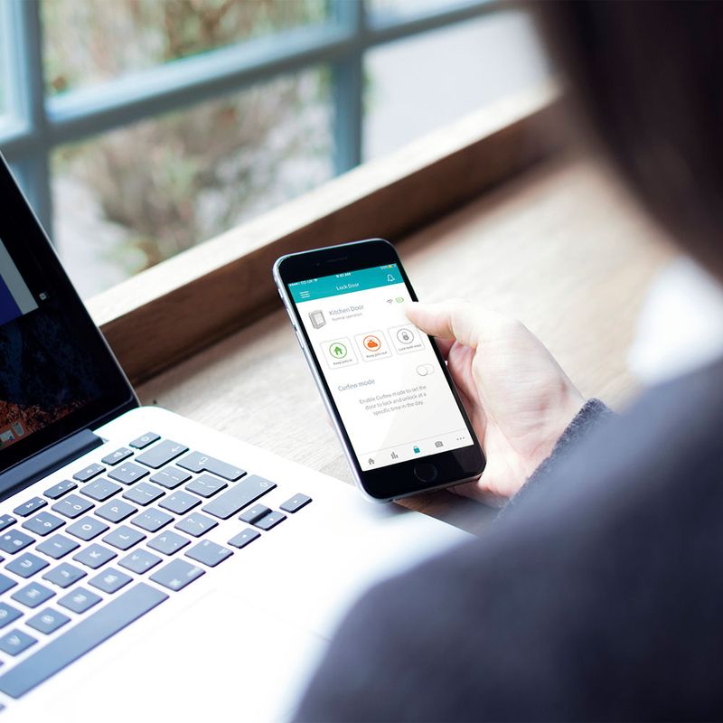 Grande chatière SureFlap Connect à puce électronique