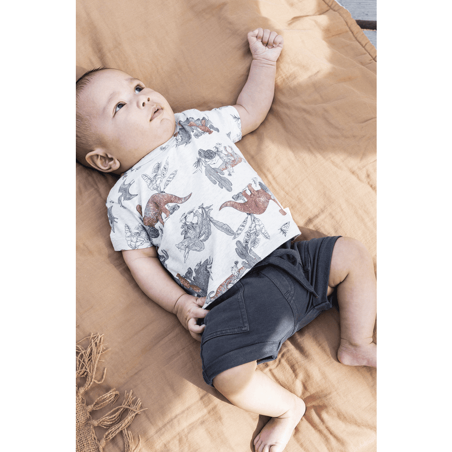 Noppies T-shirt Mendota Oatmeal