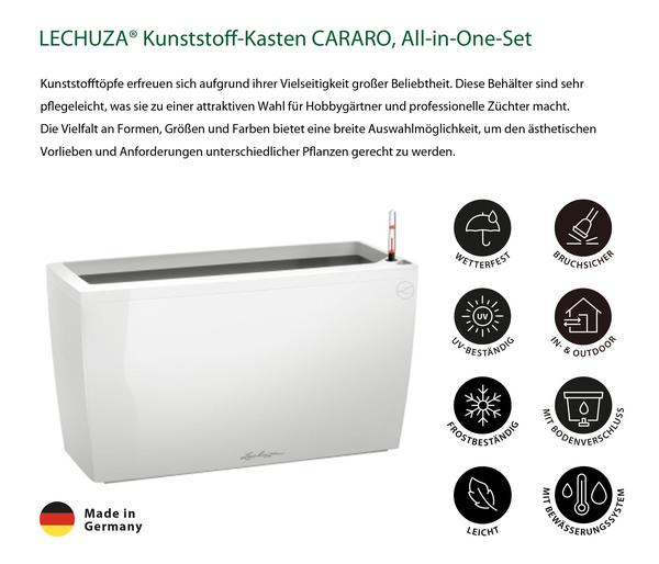 LECHUZA® Kunststoff-Kasten CARARO