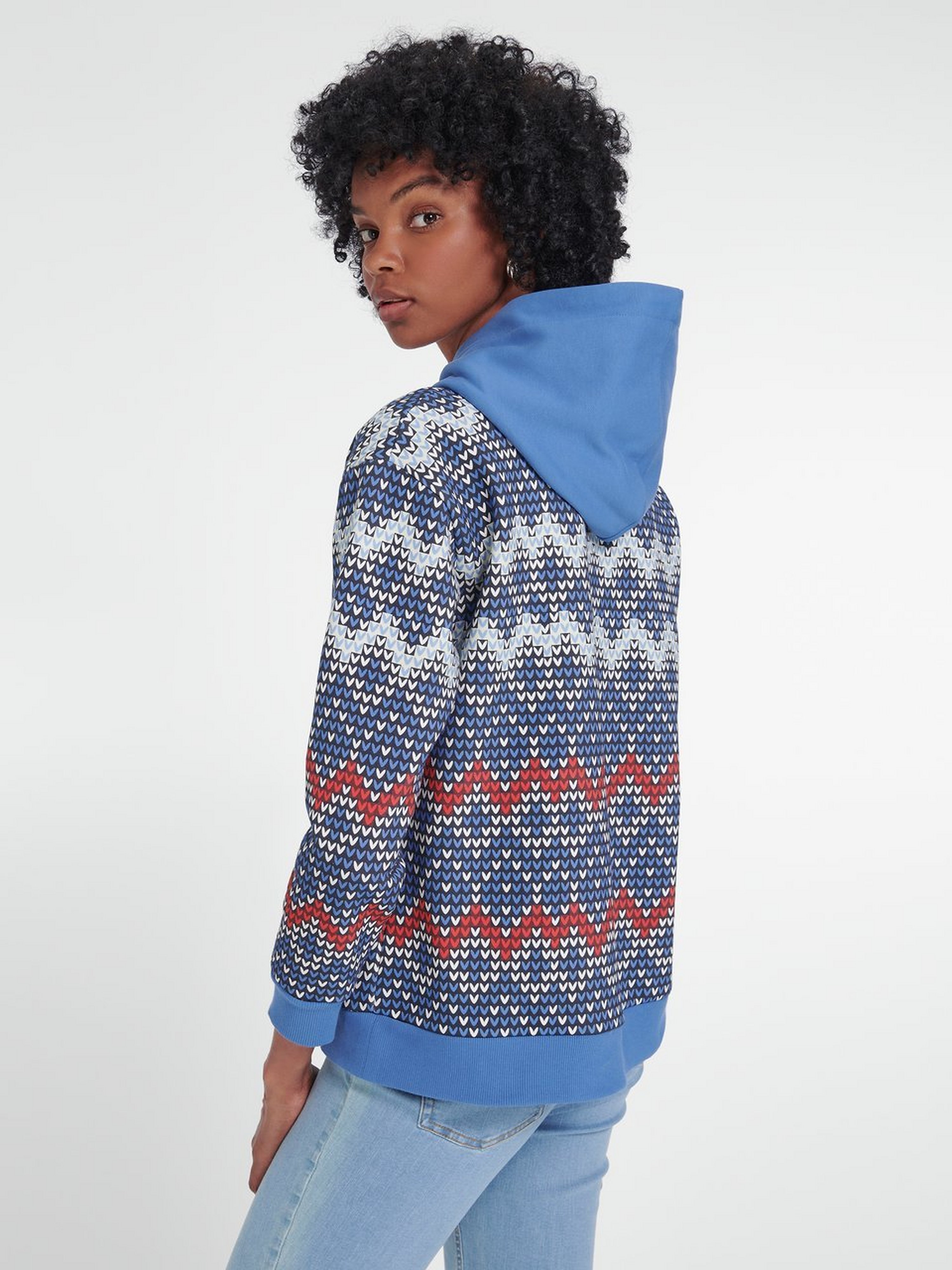 Hoodie-Sweatshirt