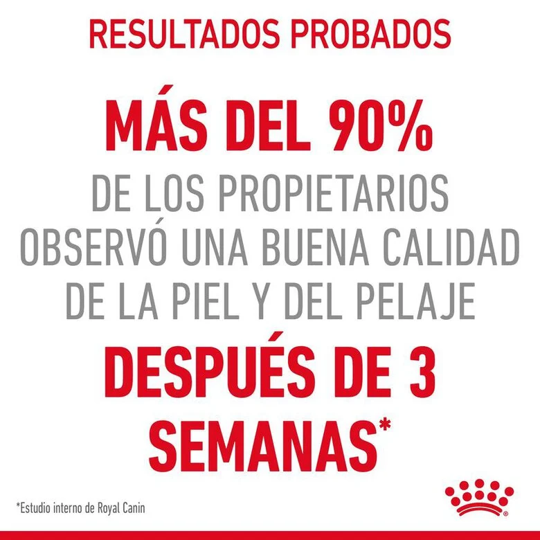Ração Royal Canin Hair and Skin para gatos em molho.