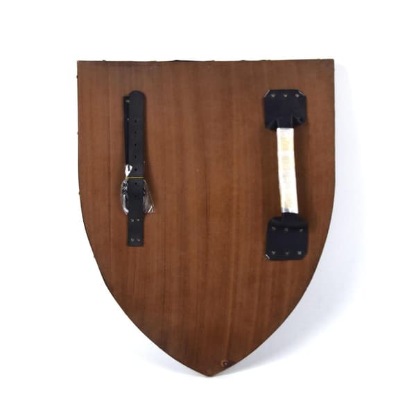 Symbol på kaos, buet Viking treskjold SWE113