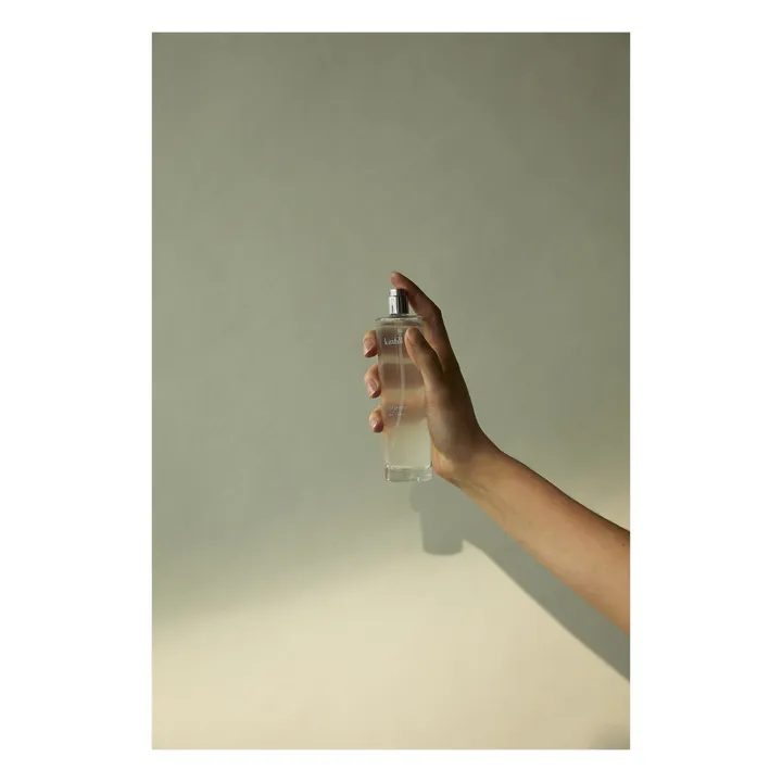 Kinfill Spray d'intérieur Tangerine