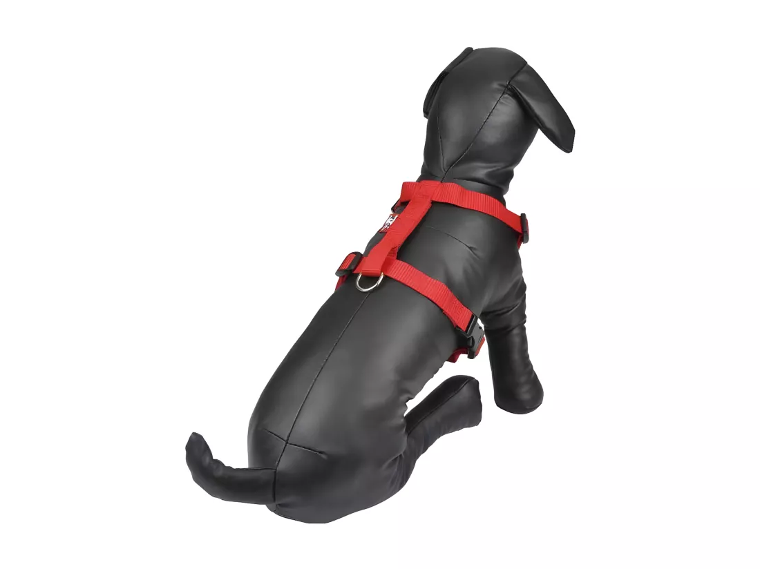 Harnais pour Chien 