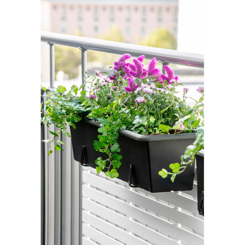 BALKONGKASSE BOTANICA 100CM SVART
