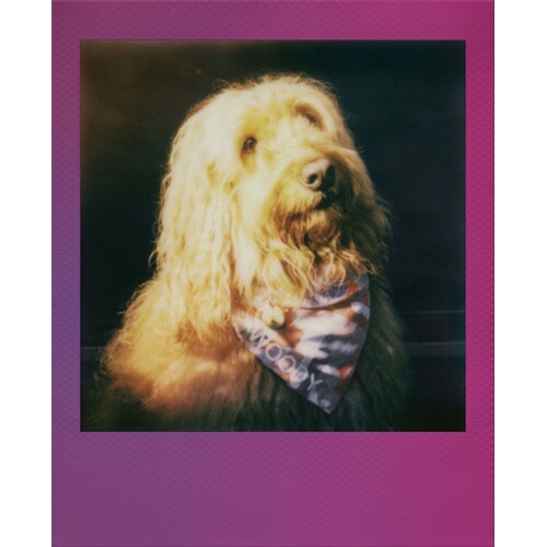Papier photo instantané Polaroid Film couleur pour Go - Cadre dégradé de couleurs