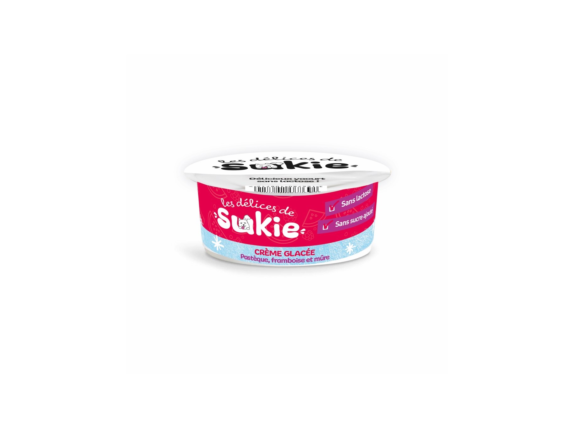 GELADO PARA CÃO RIGA MELANCIA/FRAMBOESA/AMORA 110G