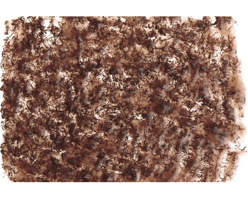 Tetra FreshDelica Bloedwormen 48 gr