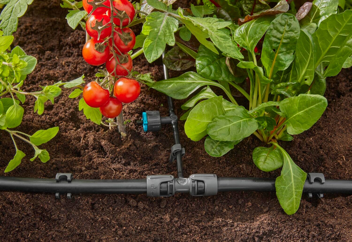 Gardena Micro Drip systeem T-stuk 13 mm (1/2 inch) - 4,6 mm (3/16 inch)