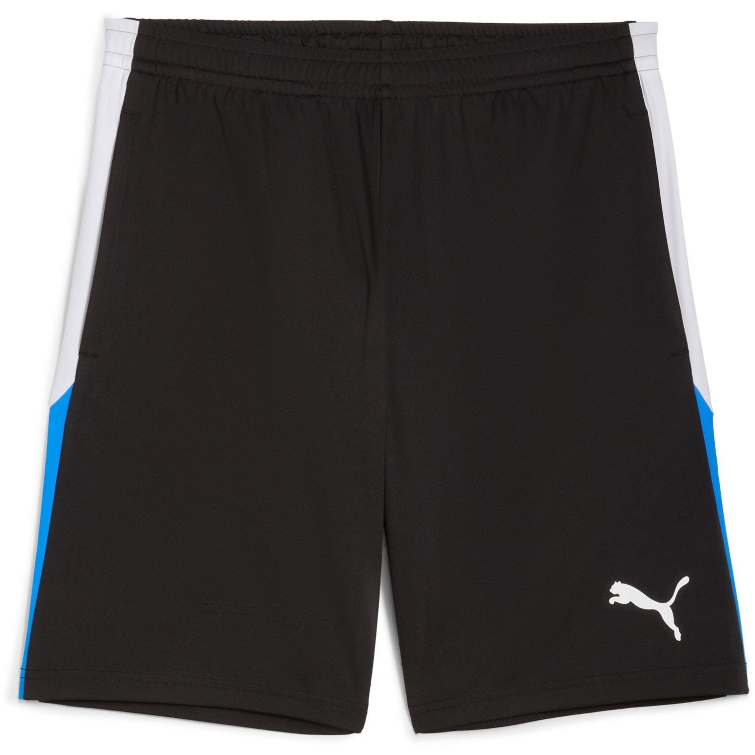 Puma LIGA Training Short