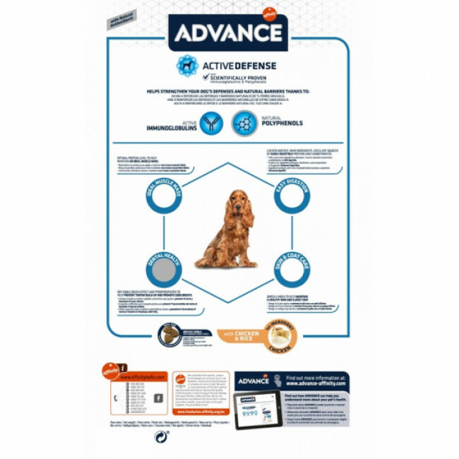 Croquettes Advance Medium Adult pour chiens