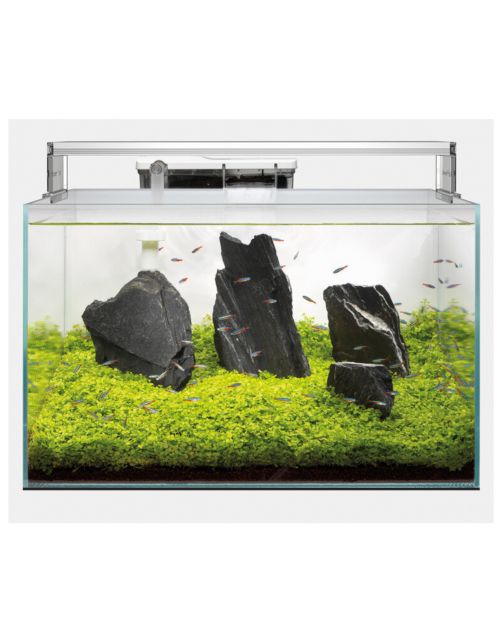 Superfish Scaper 70 - Aquaria - 60x40x28 cm Transparant