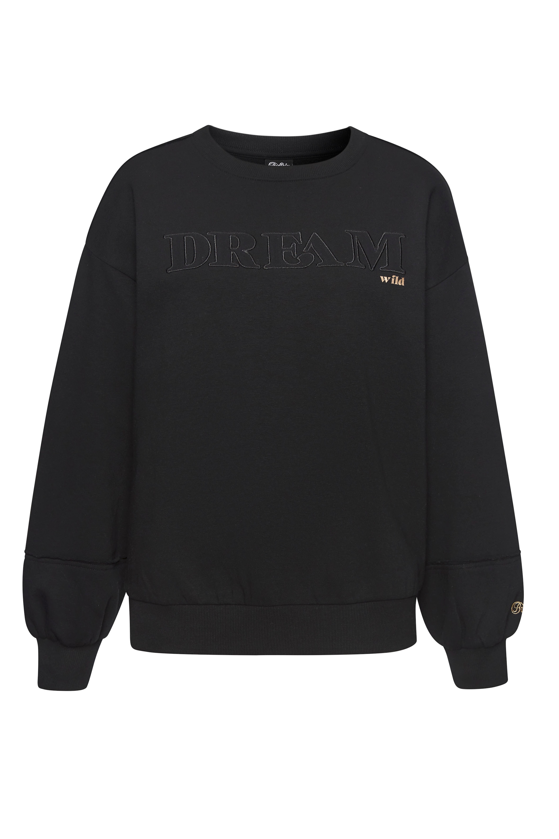 Buffalo Sweater , mit aufwendiger Stickerei
