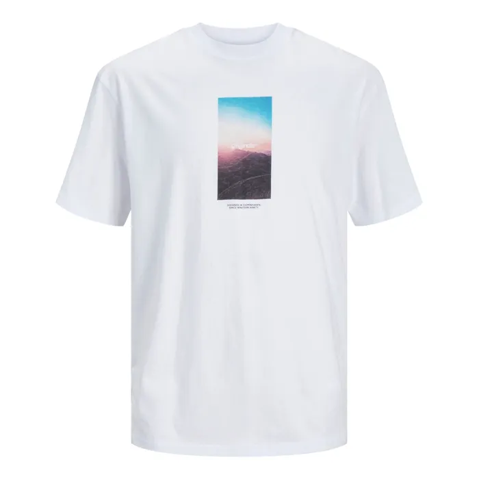 Jack & Jones Vesterbro Picture Shirt Heren