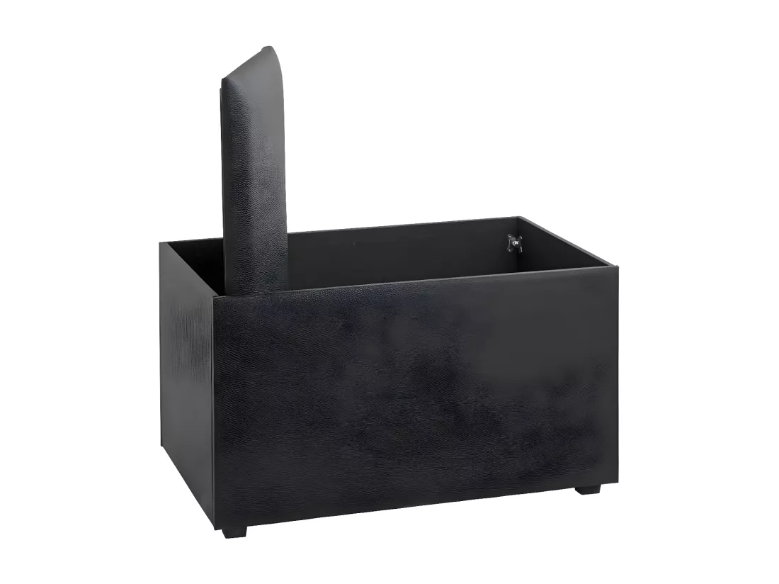Coffre de Rangement Design 