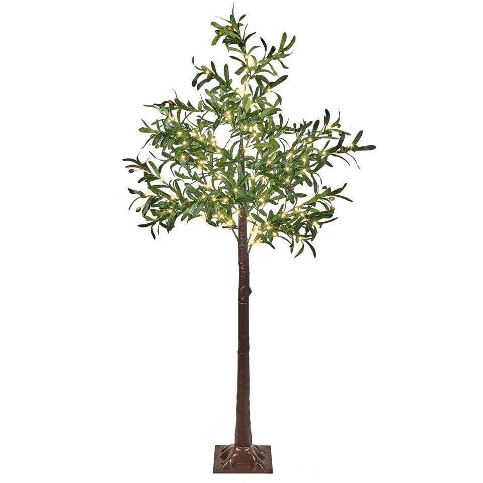 CELIONI - LED-verlichting voor buiten - Groen - 180 cm - PVC