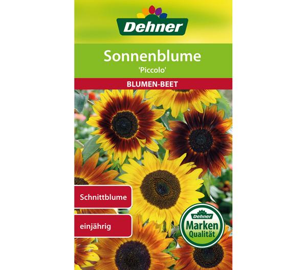 Dehner Samen für Sonnenblume 'Piccolo'