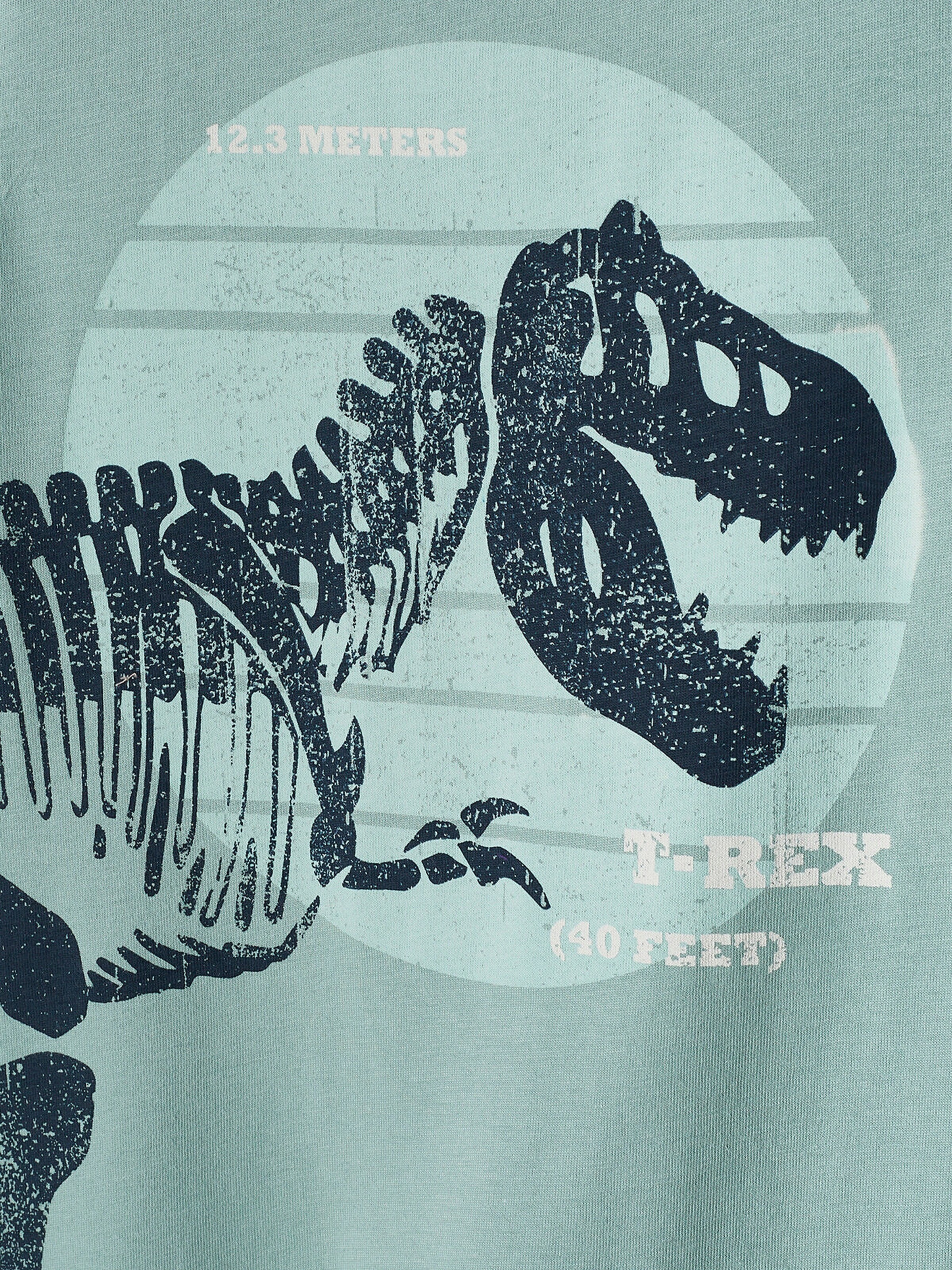 Vertbaudet Jungen T-Shirt, Dinosaurier mintgrün