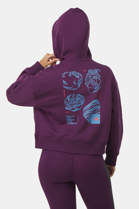 The North Face The North Face Outdoor Graphic Hoodiie Dames