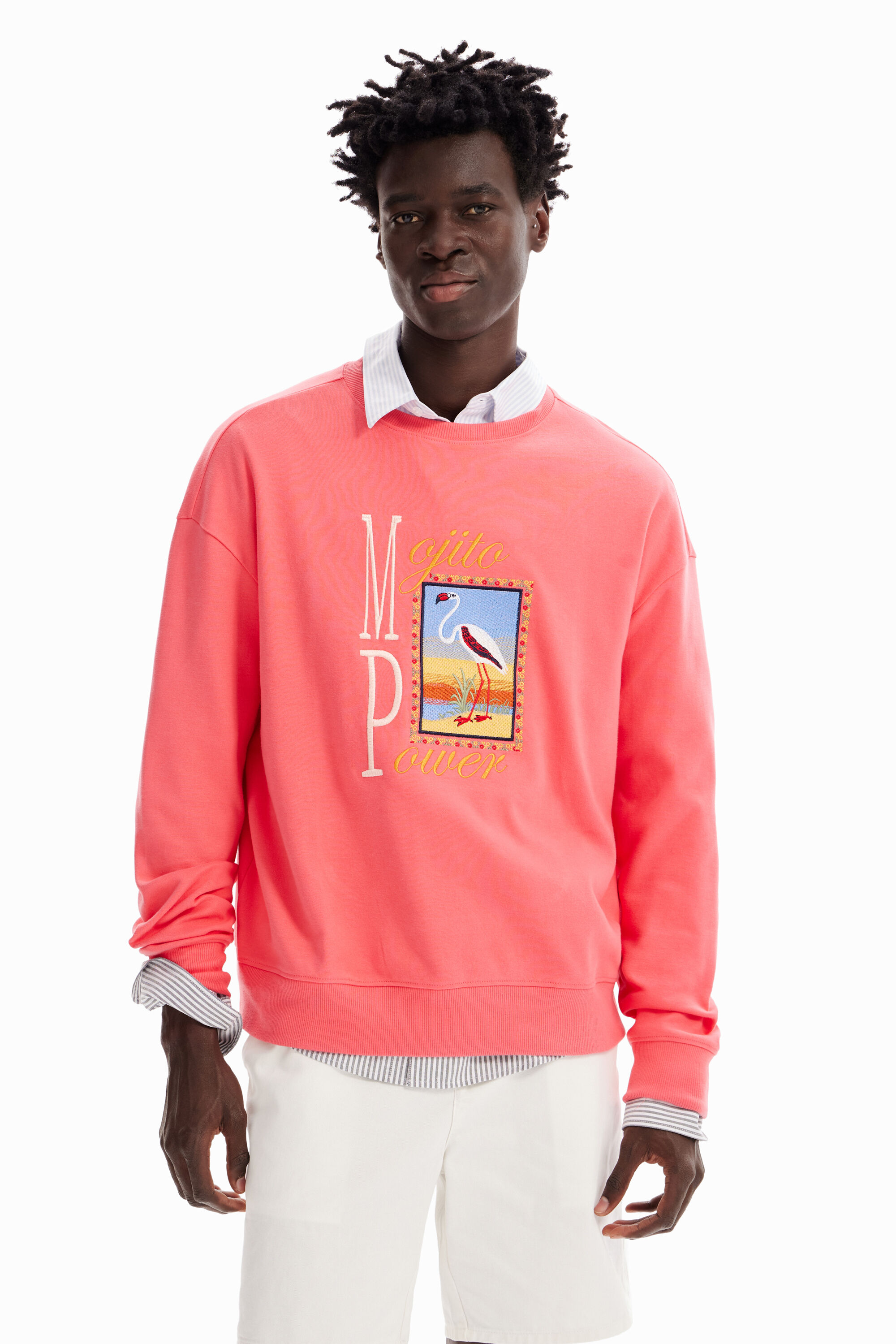 Sweat-shirt broderie flamant