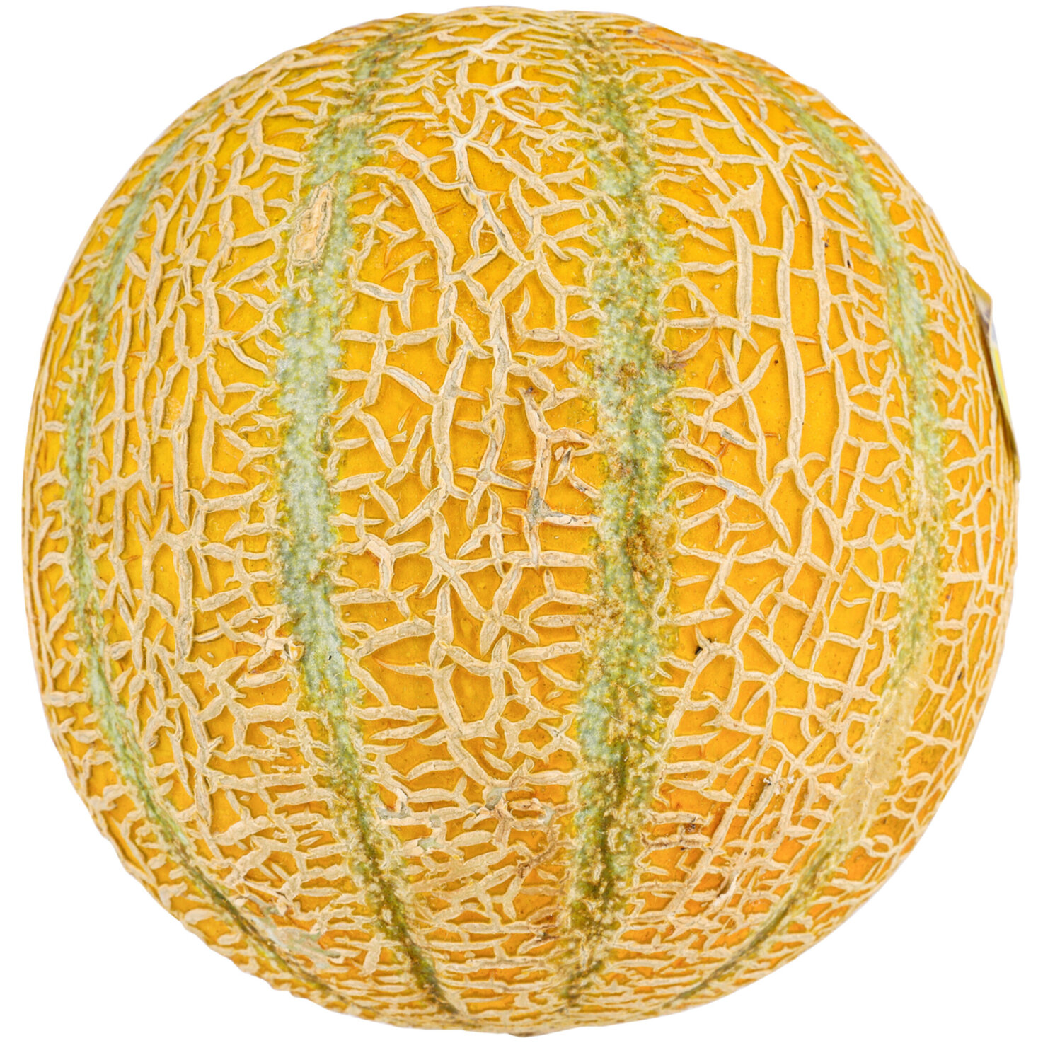Melonen Gwanipa Citrus 1 Stück -