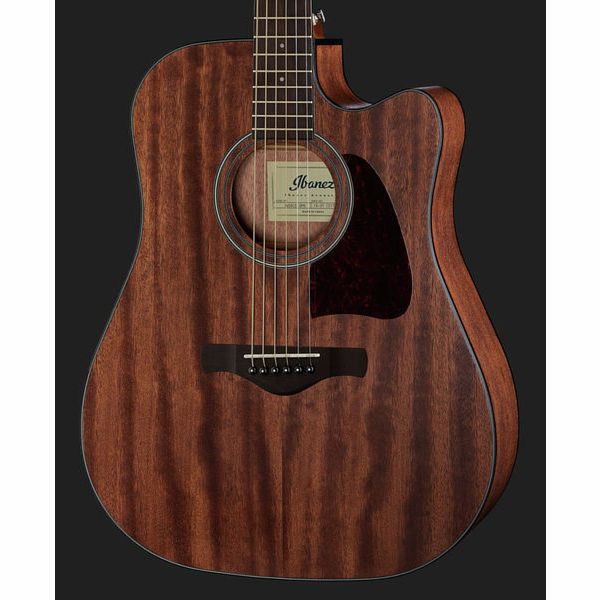 Ibanez AW54CE-OPN