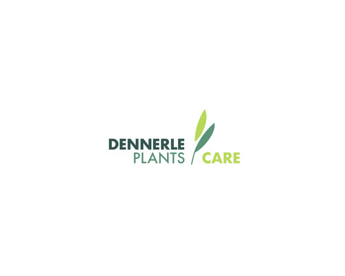 Aquariumbodem DENNERLE PLANTS Soil 2 - 3 mm, ca. 3 kg zwart