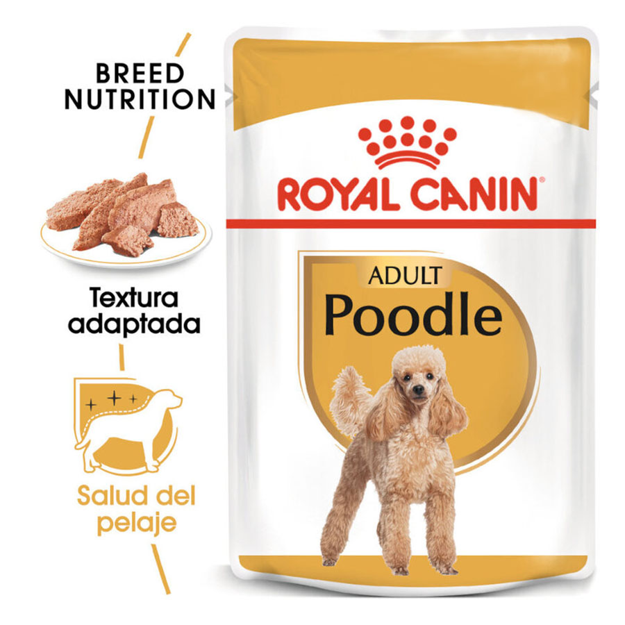 Sachê de Patê Royal Canin para Cães Adultos da Classe Poodle