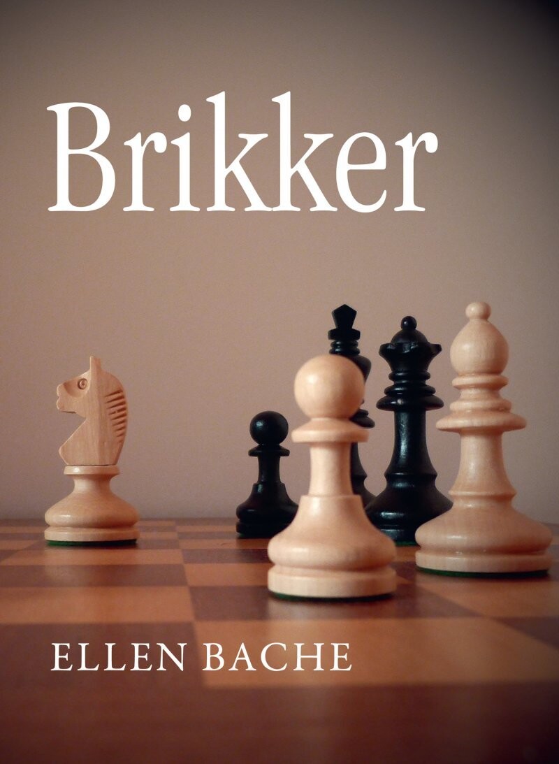 Brikker - Ellen Bache - Bog