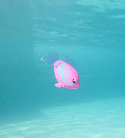 Schwimmwege Badespielzeug - Rainbow Reef - Tuna Turna