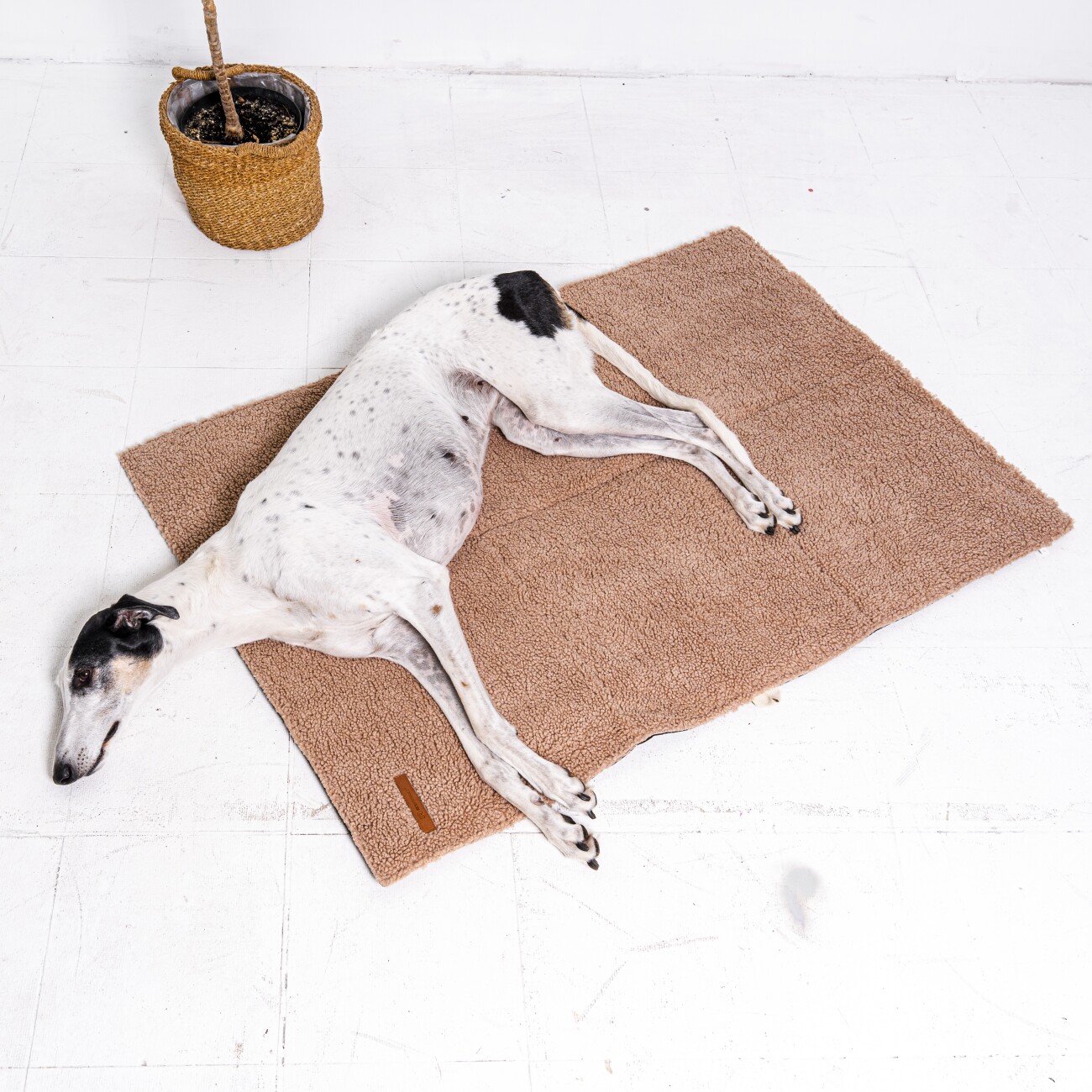 Rexproduct Mia travel mat
