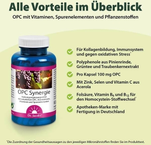 Dr. Jacob's OPC Synergie Traubenkernextrakt Kapseln, 120 Stück
