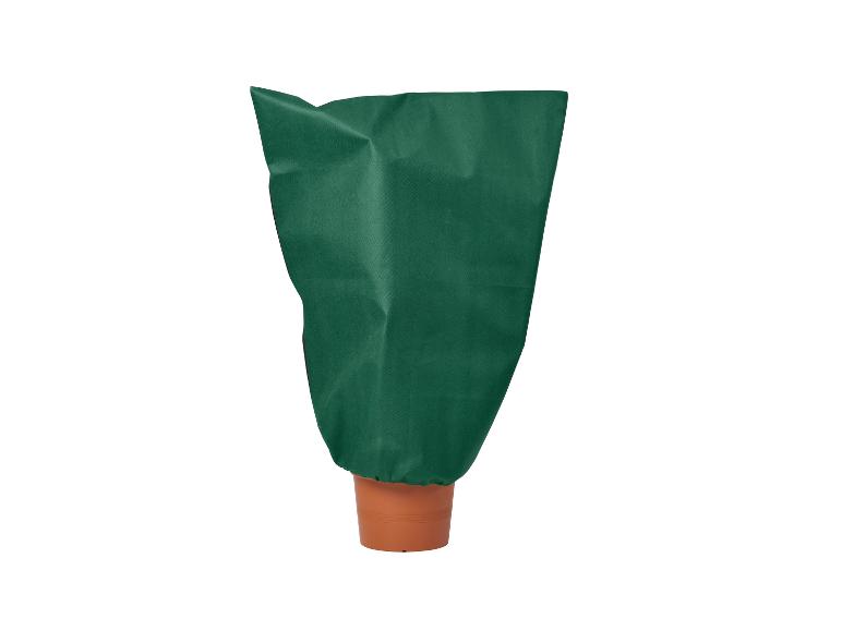 Plantenhoes tegen vorst
