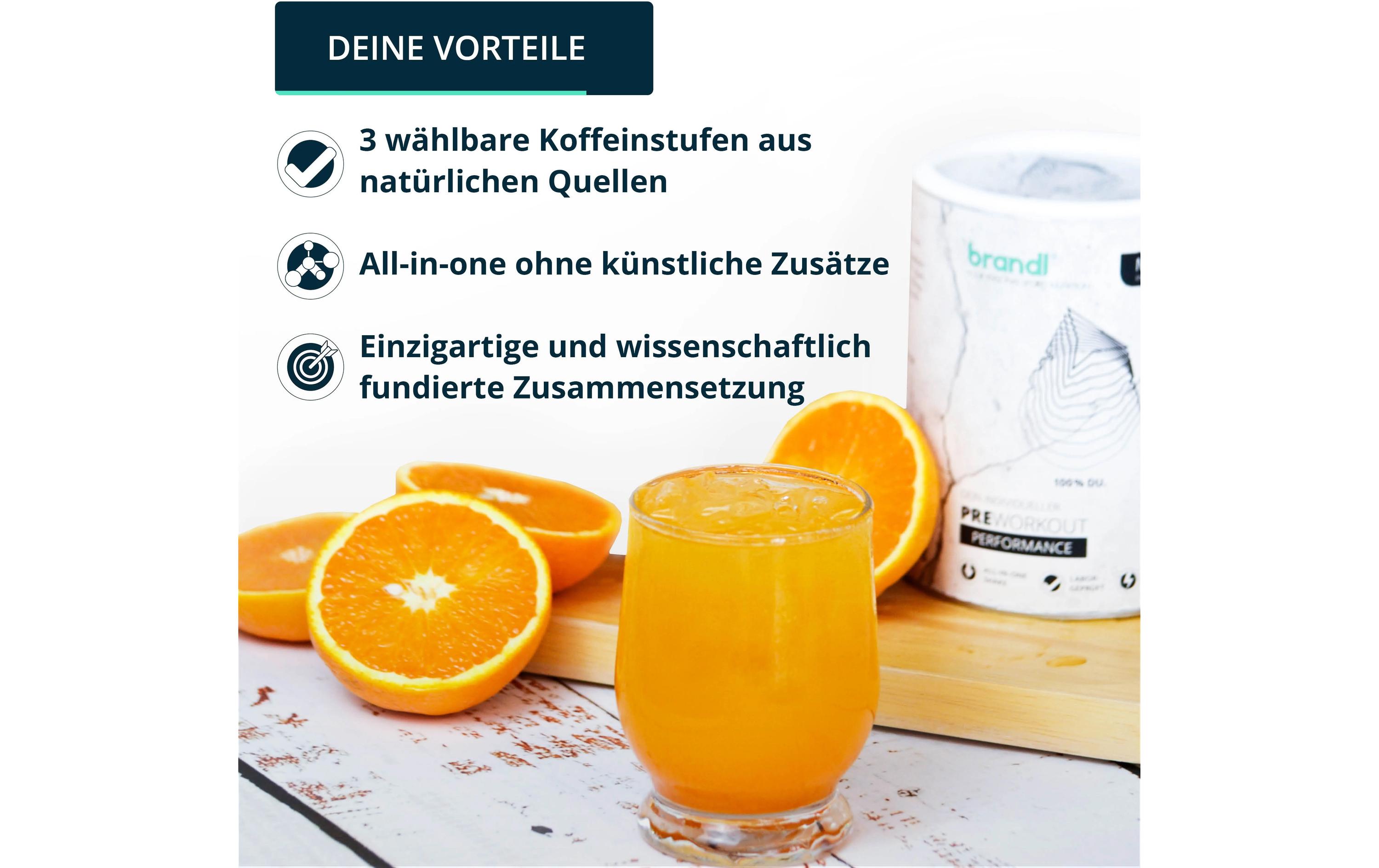 Pulver Pre-Workout Booster Guarana/Yerba Mate 500 gPerformance Booster mit 100% studienbasierten Wirkstoffen