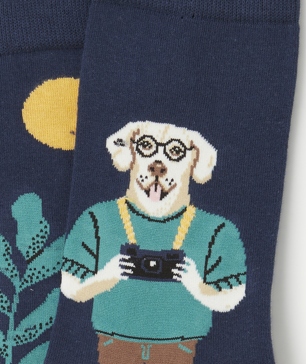 JIMMY LIONPAIRE DE CHAUSSETTES ADO CHIEN PHOTOGRAPHE