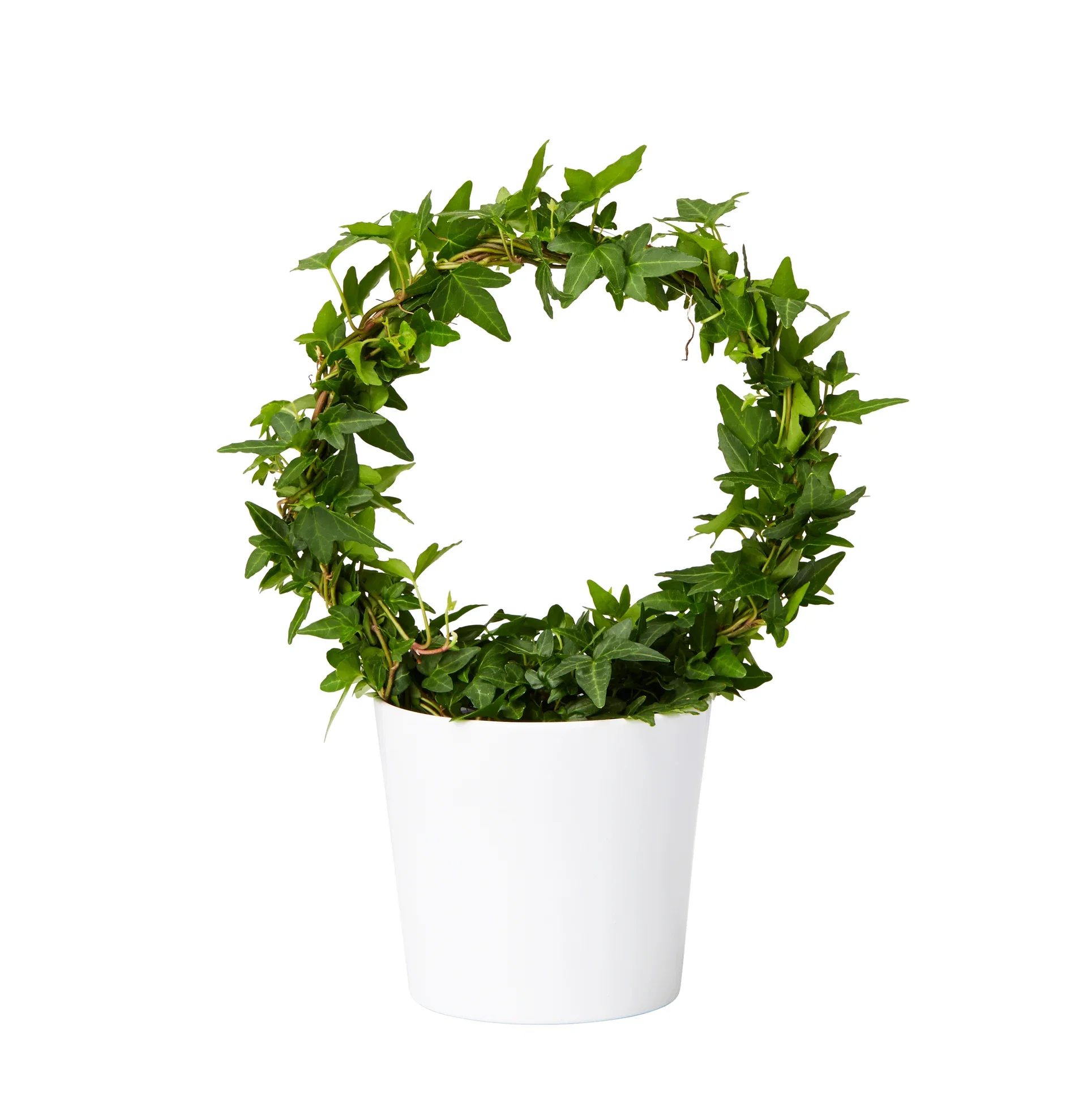 Plantagen Potte Harmoni Ø12 cm
