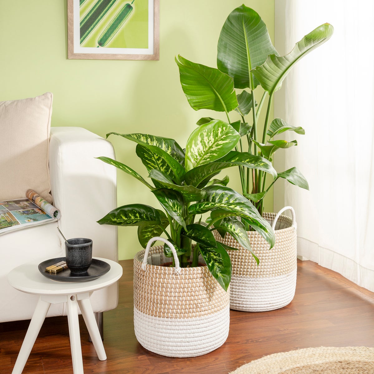 Scheurich Seagrass 39, plantenbak/mandpot met handgrepen van zeegras, kleur: Nature White, diameter 39 cm, hoogte 34 cm, inhoud 38,6 l.