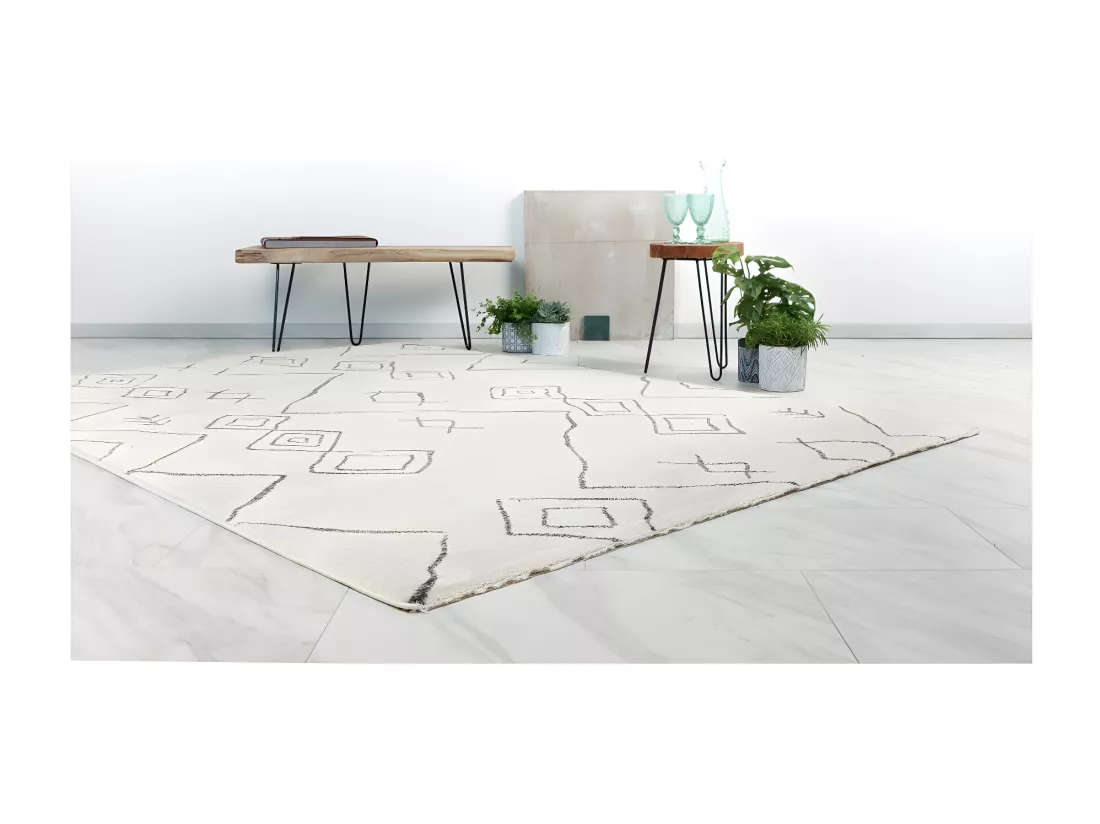 Tapis 230x160cm, design A305R coloris ivoire - Confort et élégance pour votre intérieur