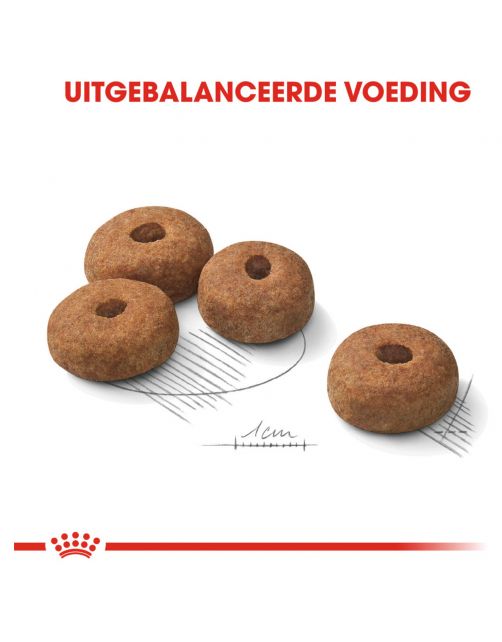 Royal Canin Sterilised Maxi - Hondenvoer