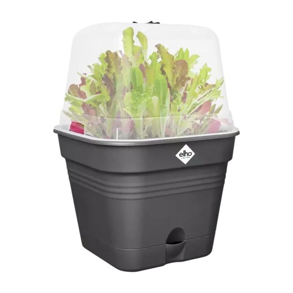 DYREKPOTTE ELHO GREEN BASICS 20X20CM SVART