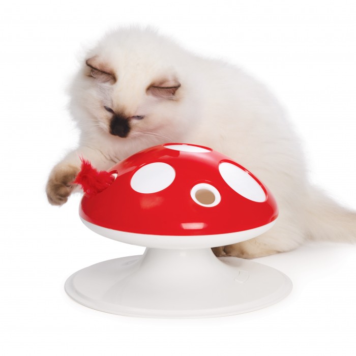 Champignon Senses 2.0