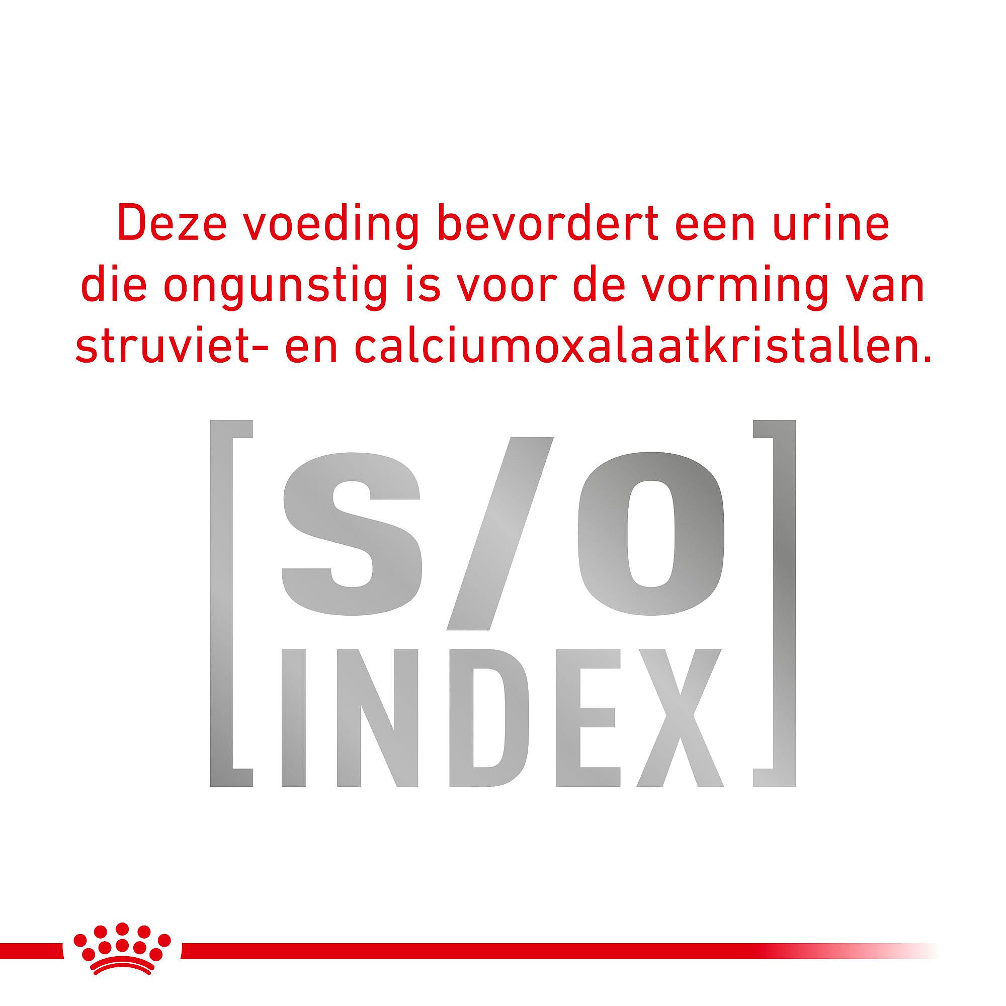 ROYAL CANIN® Skin & Coat 1,5kg - Dieetvoeding voor als je volwassen kat en/of gesteriliseerde kat een huidaandoening of overmatige haaruitval heeft