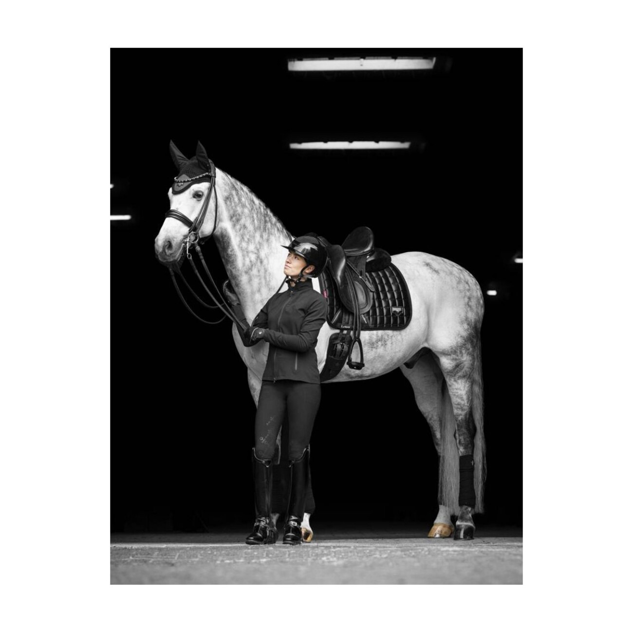 LeMieux Dressurschabracke Loire Classic Square schwarz WB (Warmblut)